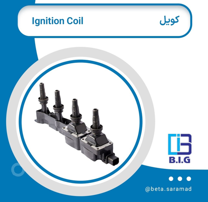 تصویر از کوئل TU5 پژو 206 / 4 پین B.I.G