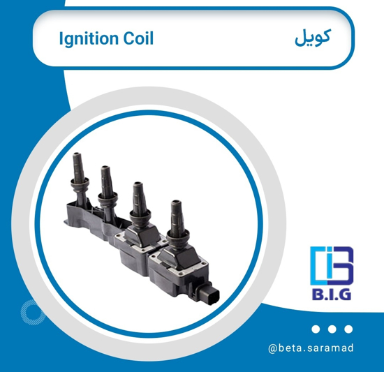 تصویر از کوئل TU5 پژو 206 / 4 پین B.I.G