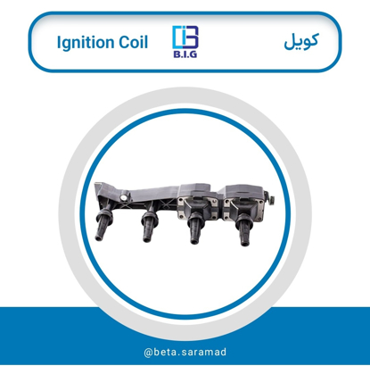 تصویر از کوئل TU5 رانا 5 پین B.I.G