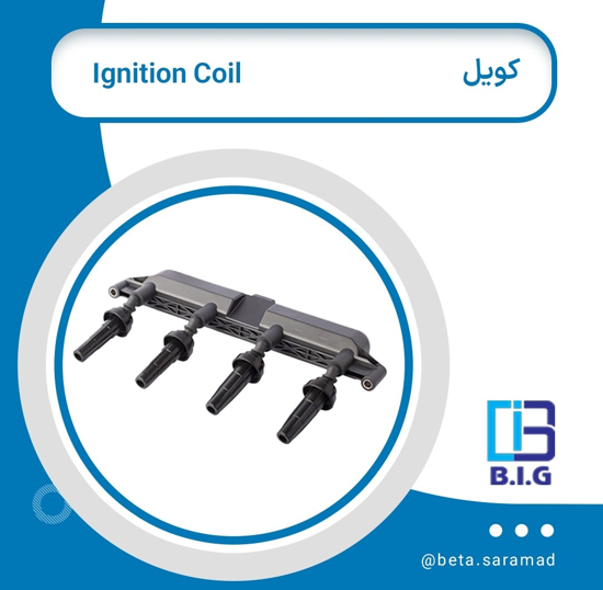 تصویر از کوئل TU3 206 قدیم B.I.G