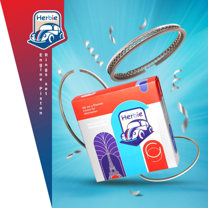 تصویر از رینگ موتور پراید 025 تعمیر اول Herbie